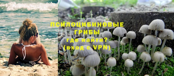 прущая мука Заводоуковск
