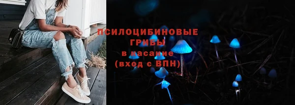 тгк Заволжск